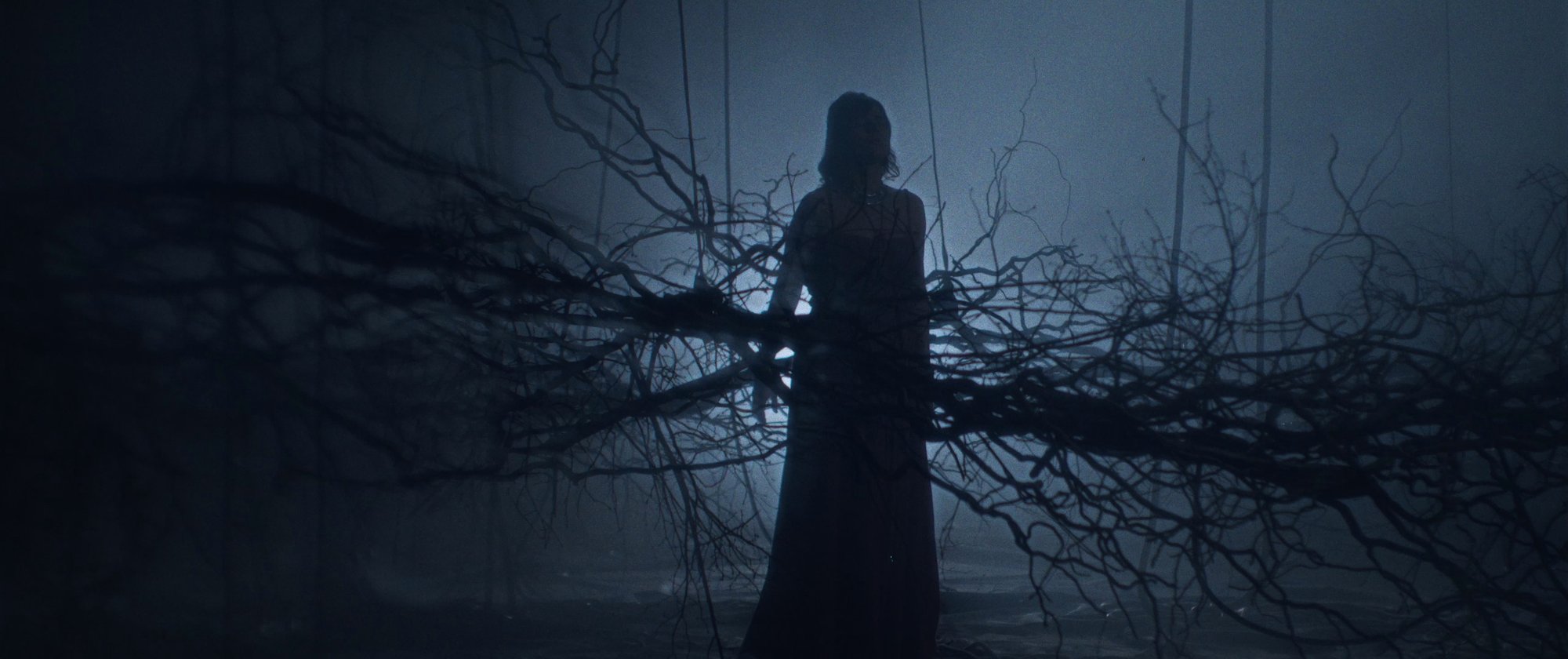 IGORRR music video still - silhouette standing behind a curtain of hanging bare roots in blue fog